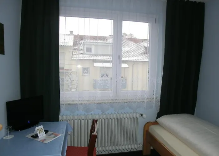 donauhotel Neu-ulm Hotell 2*