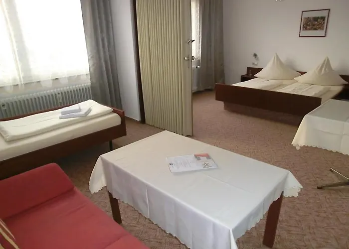donauhotel Neu-ulm 2*